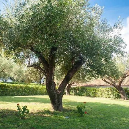 Casa Palinuro Vacanze Fronte Spiaggia Exterior photo