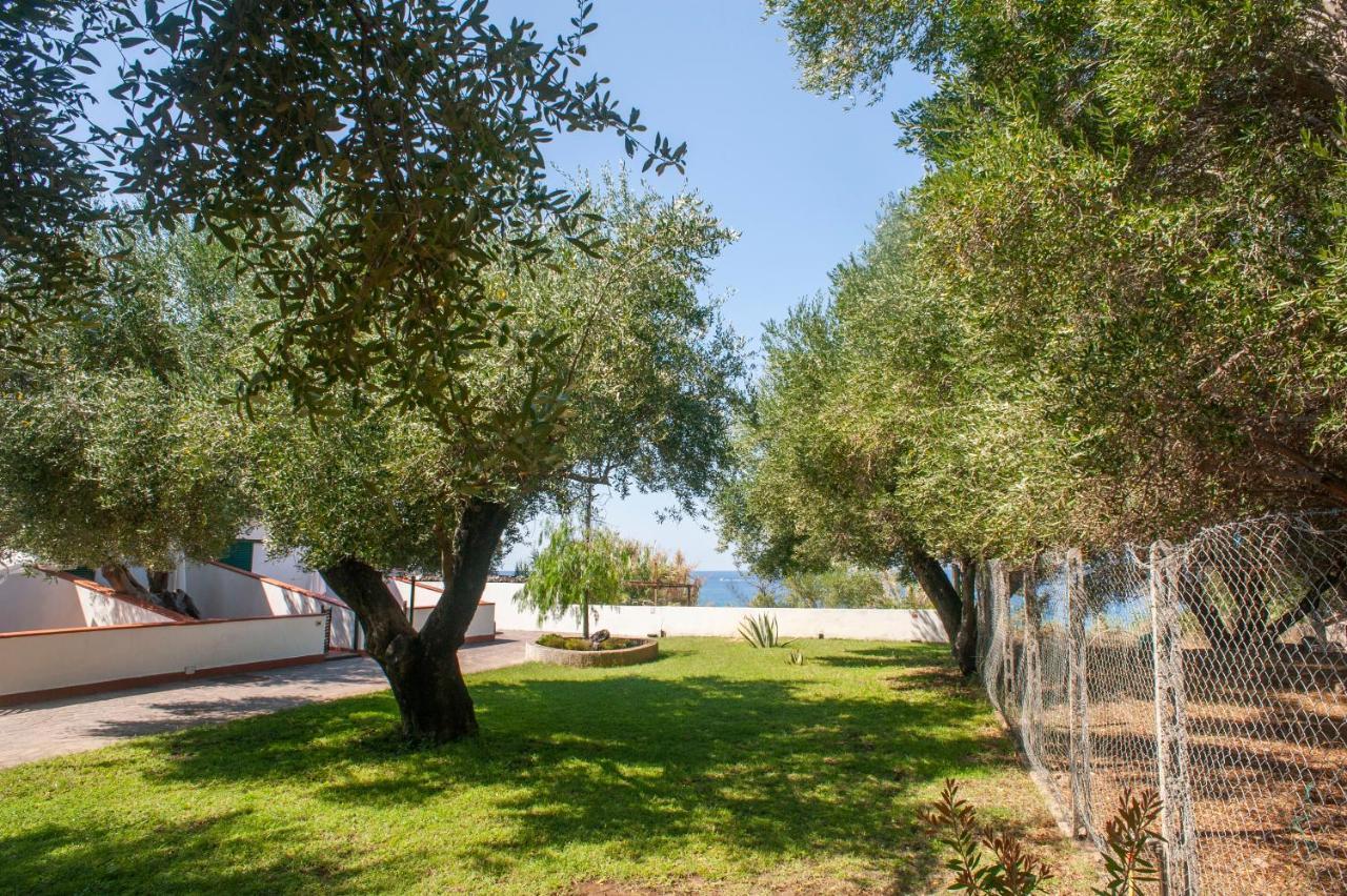 Apartment Casa Vacanze Fronte *